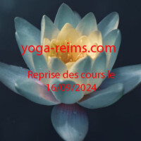 lotus-sutra-copie