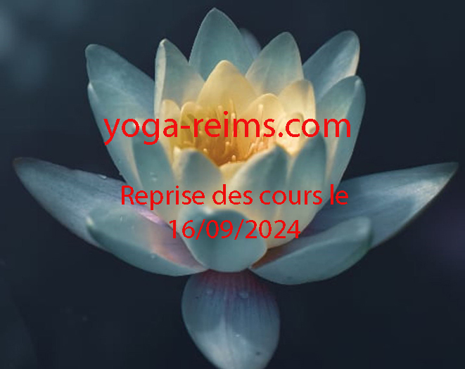 lotus-sutra-copie